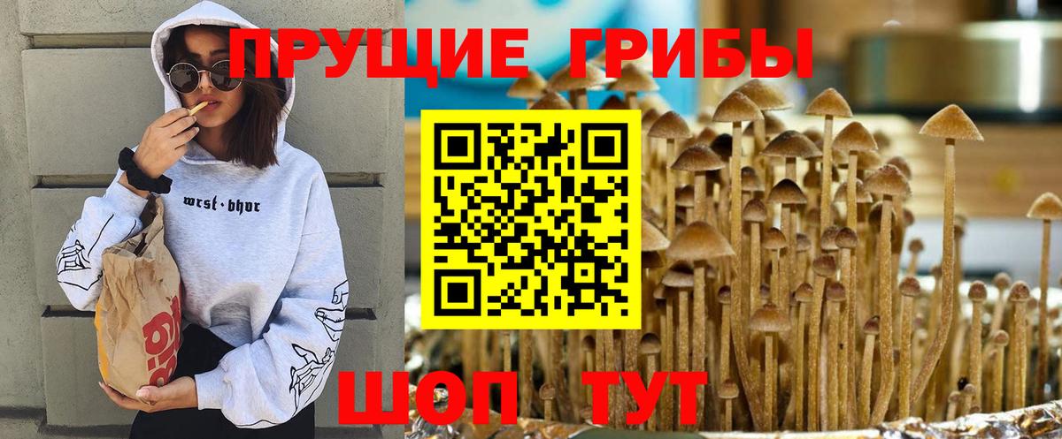 Галлюциногенные грибы Cubensis Георгиевск