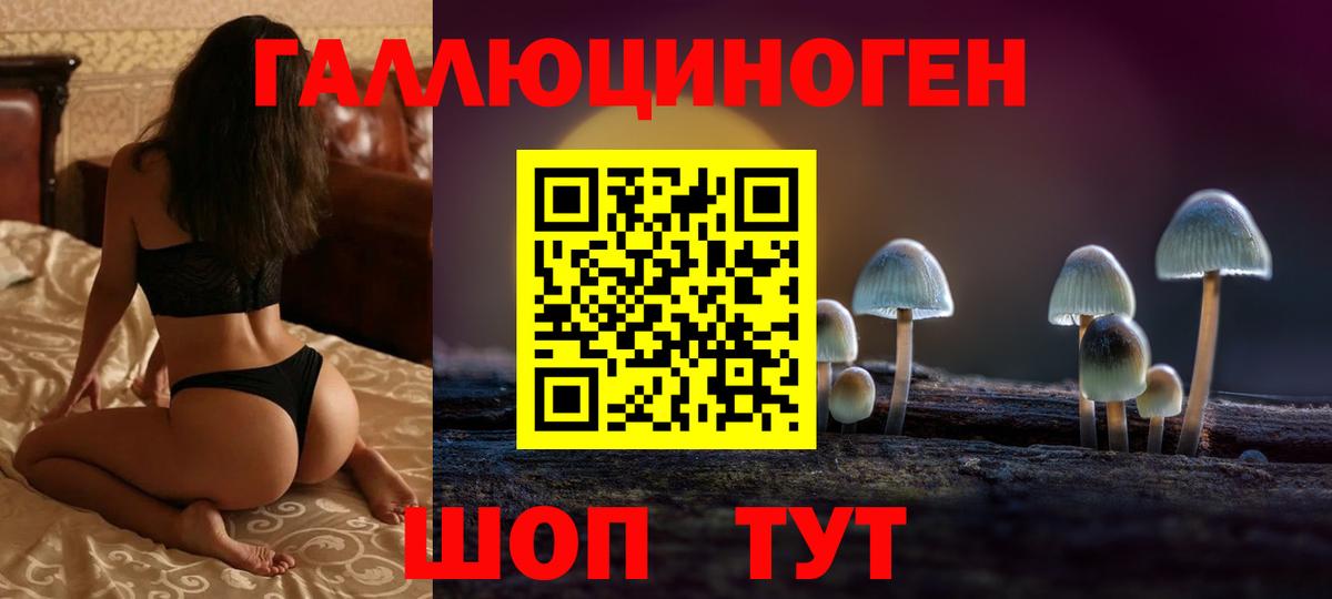 купить закладку  Псилоцибиновые грибы GOLDEN TEACHER  Вход с VPN  Галлюциногенные грибы MAGIC MUSHROOMS  Георгиевск 